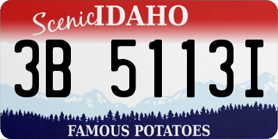 ID license plate 3B5113I
