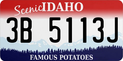 ID license plate 3B5113J