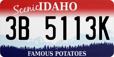 ID license plate 3B5113K