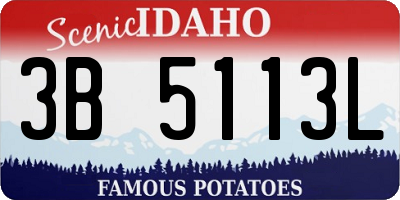ID license plate 3B5113L