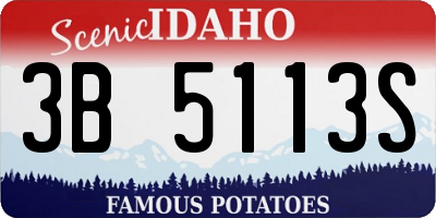 ID license plate 3B5113S