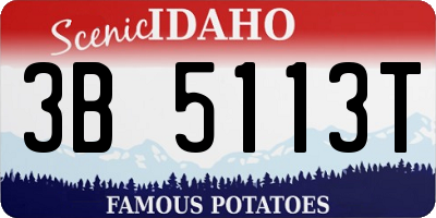 ID license plate 3B5113T