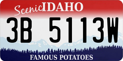 ID license plate 3B5113W