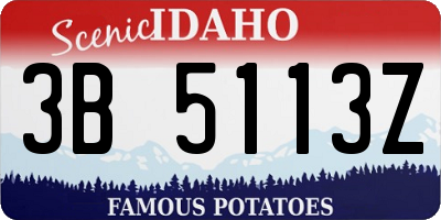 ID license plate 3B5113Z