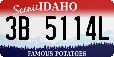 ID license plate 3B5114L