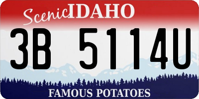 ID license plate 3B5114U