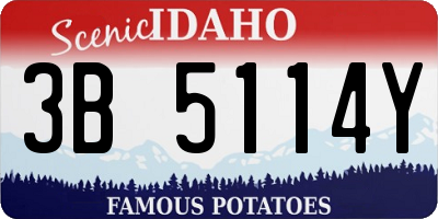 ID license plate 3B5114Y