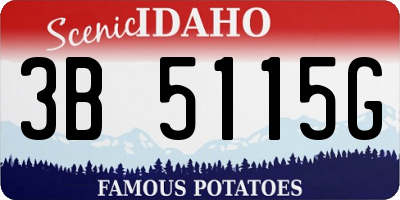 ID license plate 3B5115G