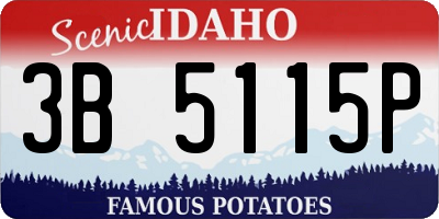 ID license plate 3B5115P