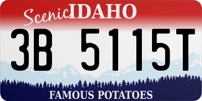 ID license plate 3B5115T