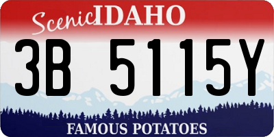 ID license plate 3B5115Y