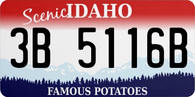 ID license plate 3B5116B