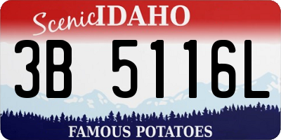 ID license plate 3B5116L