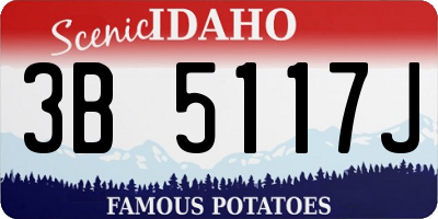 ID license plate 3B5117J