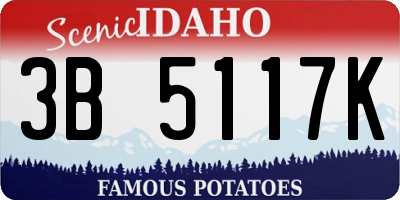 ID license plate 3B5117K