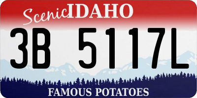 ID license plate 3B5117L