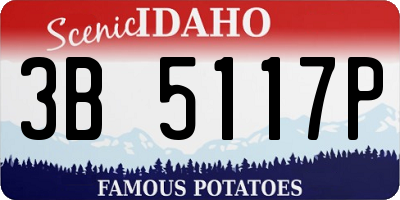 ID license plate 3B5117P