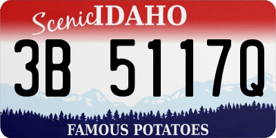 ID license plate 3B5117Q