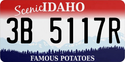 ID license plate 3B5117R