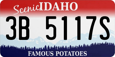 ID license plate 3B5117S