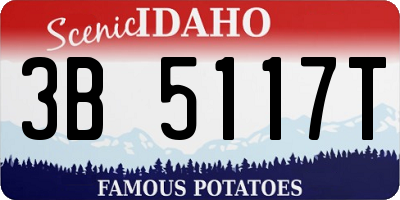 ID license plate 3B5117T