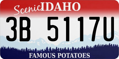 ID license plate 3B5117U