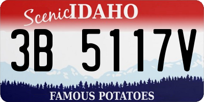 ID license plate 3B5117V