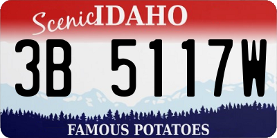 ID license plate 3B5117W