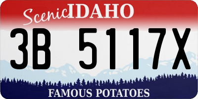 ID license plate 3B5117X
