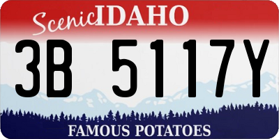 ID license plate 3B5117Y