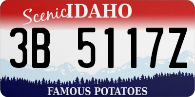 ID license plate 3B5117Z