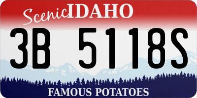 ID license plate 3B5118S