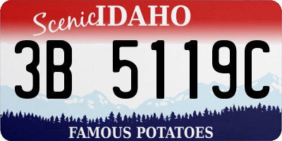 ID license plate 3B5119C