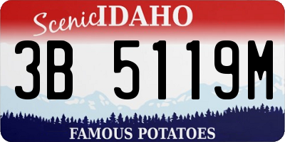 ID license plate 3B5119M