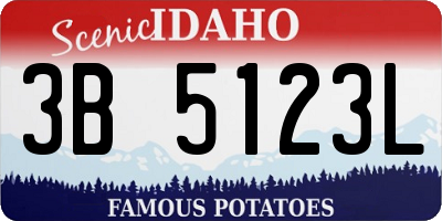ID license plate 3B5123L
