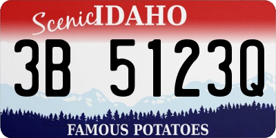 ID license plate 3B5123Q