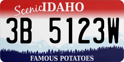 ID license plate 3B5123W