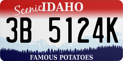 ID license plate 3B5124K
