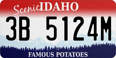 ID license plate 3B5124M