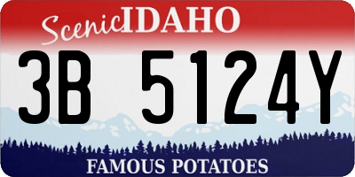 ID license plate 3B5124Y