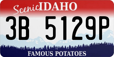 ID license plate 3B5129P