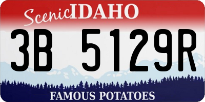 ID license plate 3B5129R