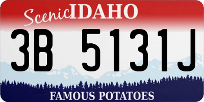 ID license plate 3B5131J
