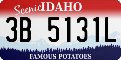 ID license plate 3B5131L