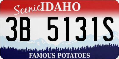 ID license plate 3B5131S