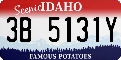 ID license plate 3B5131Y