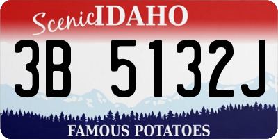 ID license plate 3B5132J