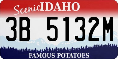ID license plate 3B5132M