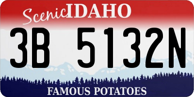 ID license plate 3B5132N