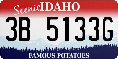 ID license plate 3B5133G